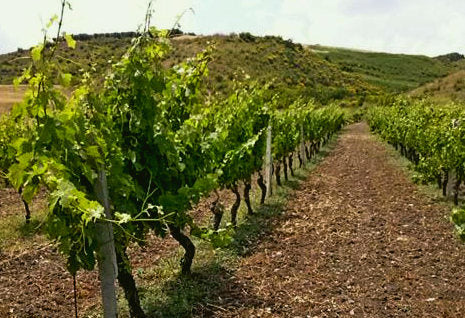 Rimbocchiamoci le maniche e ripartiamo